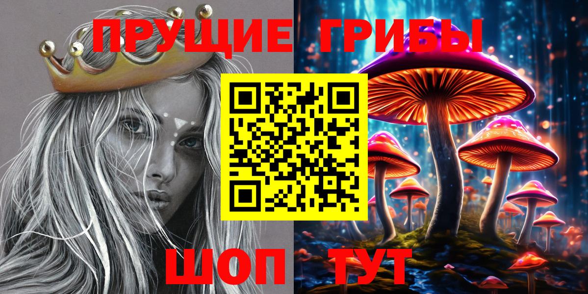 Псилоцибиновые грибы MAGIC MUSHROOMS  Вход с VPN  Сегежа 